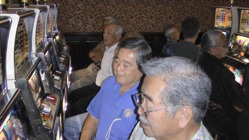 IMGA0011a.jpg